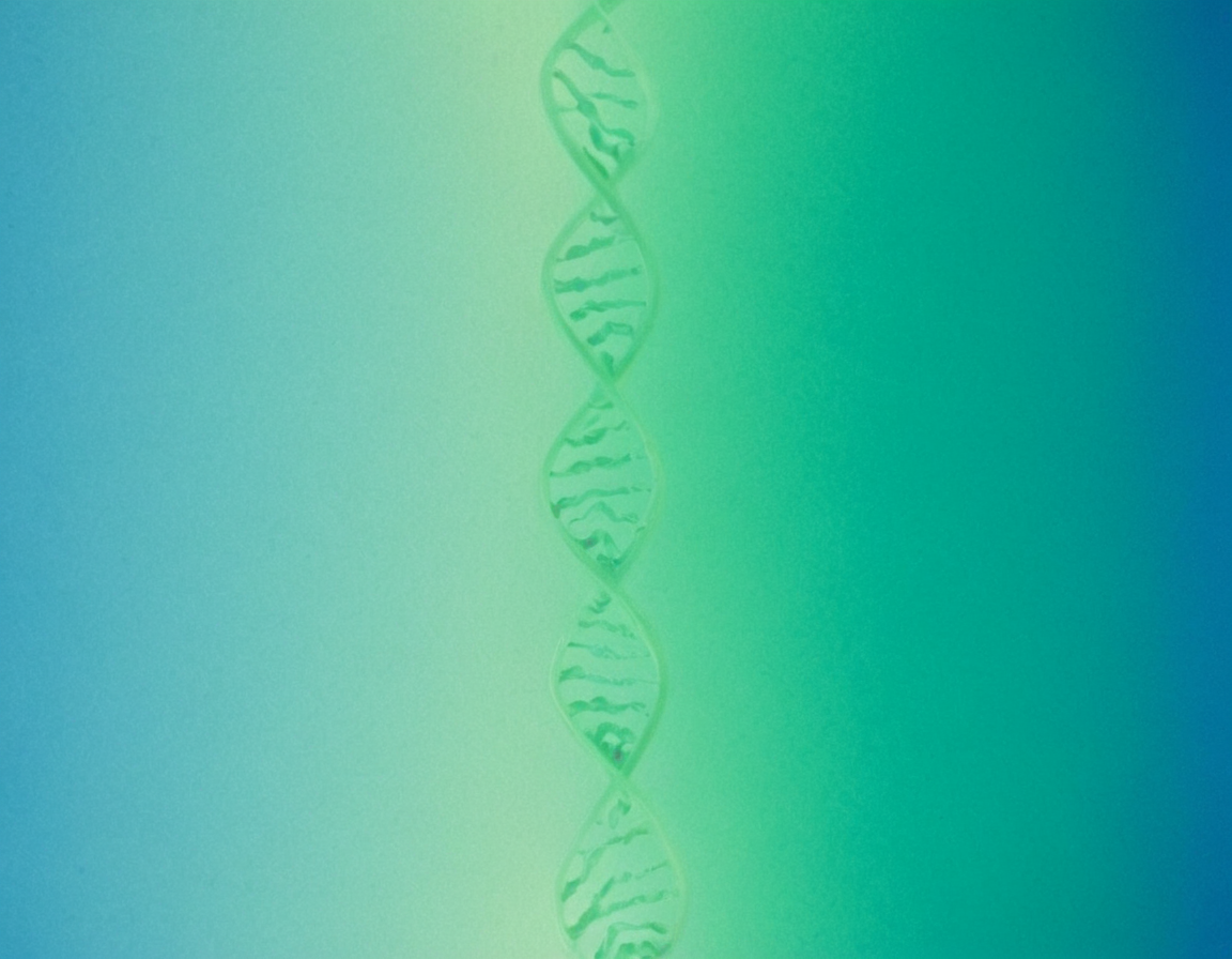 Featured image for blog post: Accuracy Vital in Paternity Tests